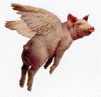 pig in flight